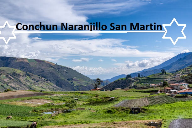 "A breathtaking view of the lush landscapes of Conchun Naranjillo San Martin, Peru."