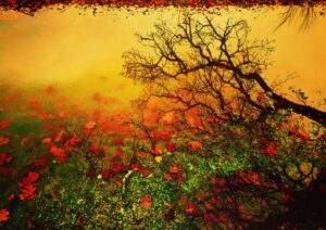 "Alyson H Belcourt Art piece featuring a vibrant nature-inspired abstract composition."