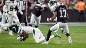 Davante Adams Takes a Swipe At The Bears.